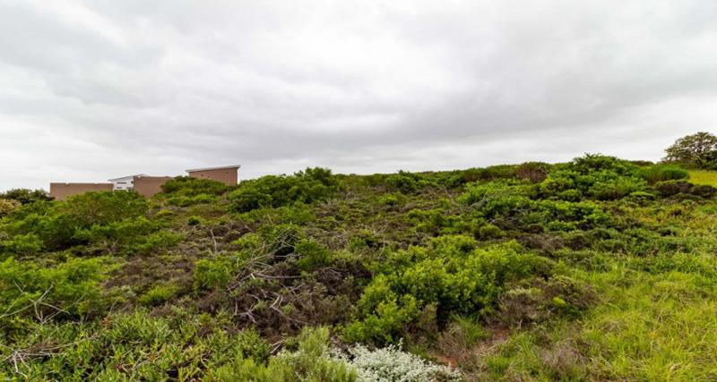 0 Bedroom Property for Sale in Dana Bay Western Cape